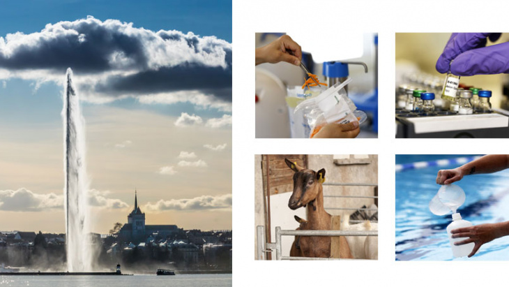 SCAV - publication du rapport d'activité 2019