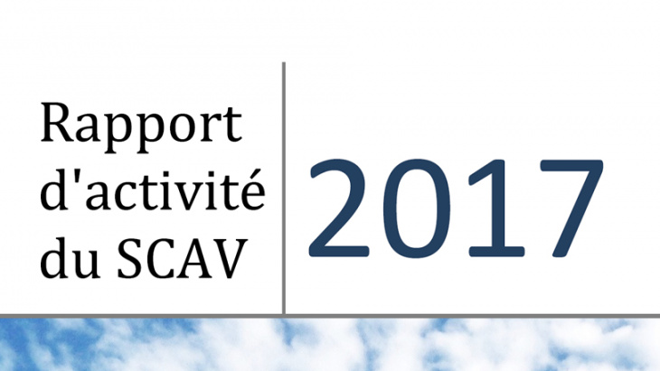 Rapport d'activité 2017