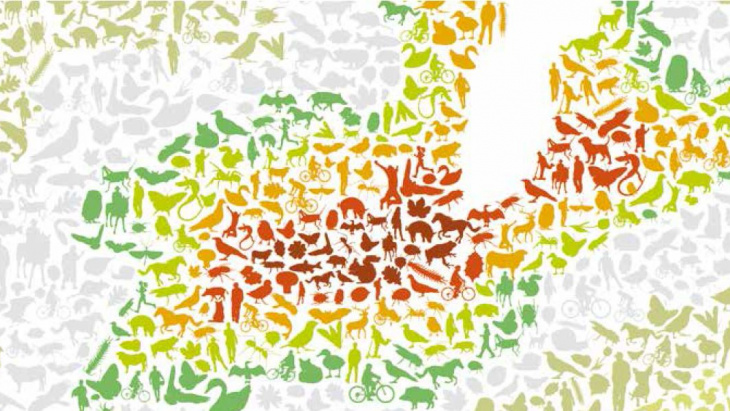 Stratégie Biodiversité Genève 2030