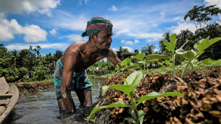 Crédit / The New Humanitarian - Zakir Hossain Chowdhury