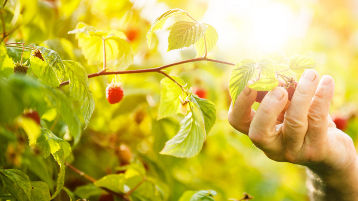 1001 sites Nature en ville