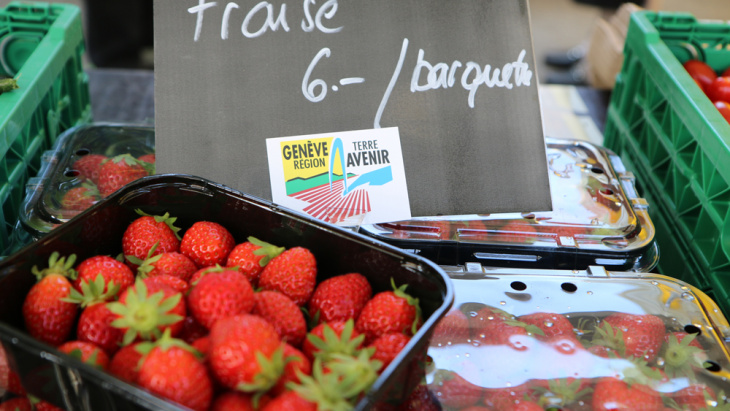 Choisir GRTA sur les bancs de marché