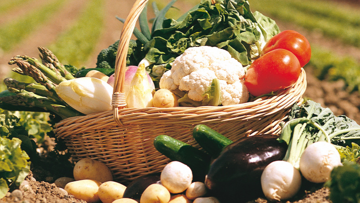 Crédit image: Auberson/Genève Terroir