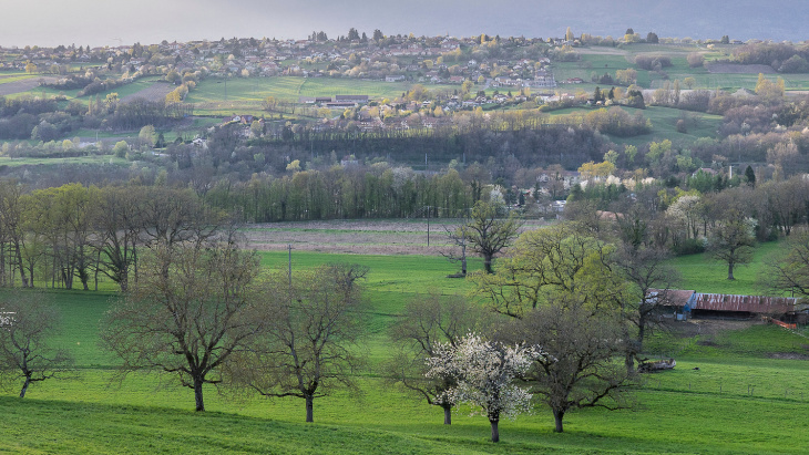 Crédit image: Jean Revillard/Genève Terroir