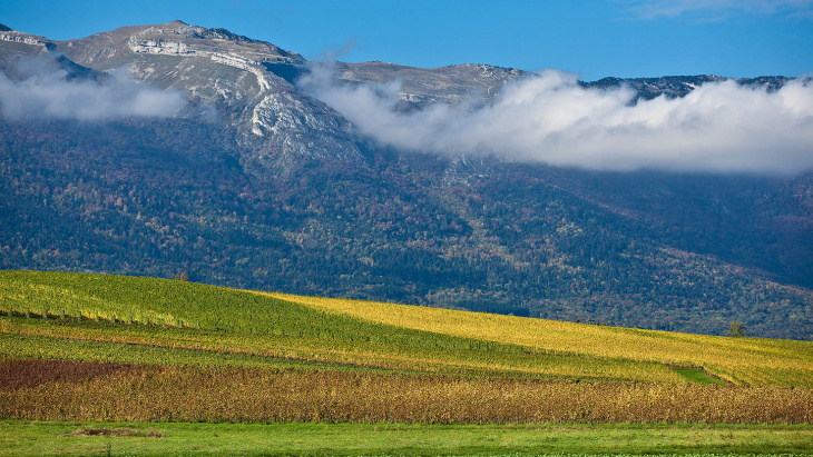 Crédit image:diapos.ch/Genève Terroir