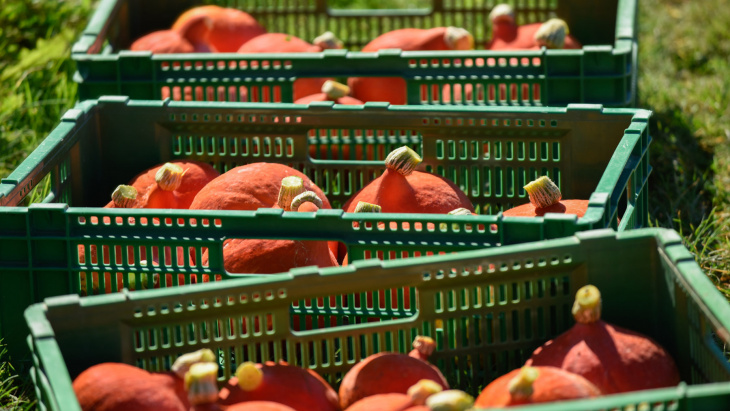 Choisir GRTA sur les bancs de marché