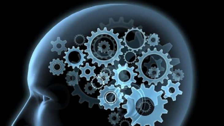 image du cerveau humain