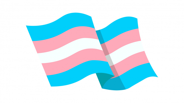 drapeu communauté transgenre
