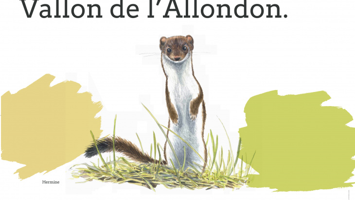 Illustration dansmanature.ch