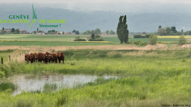 Illustration Vallon de Sionnet