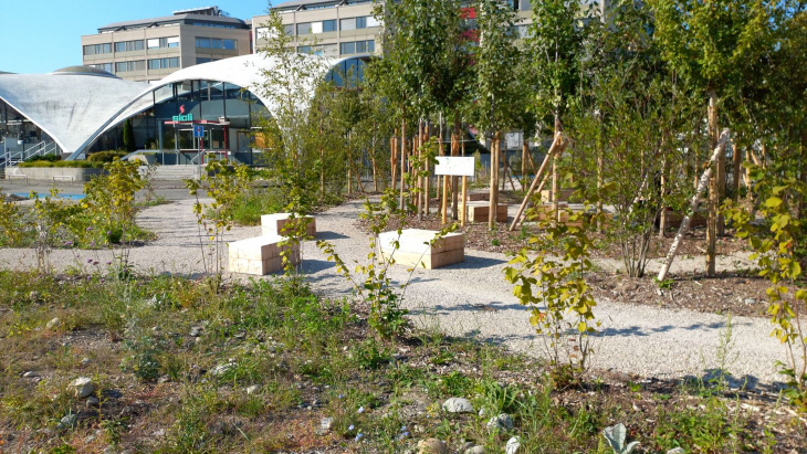 Pépinière à l'espace cool city Boissonnas