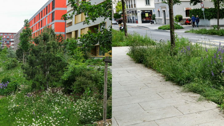 Quartier des Vergers et Rue de Saint-Jean