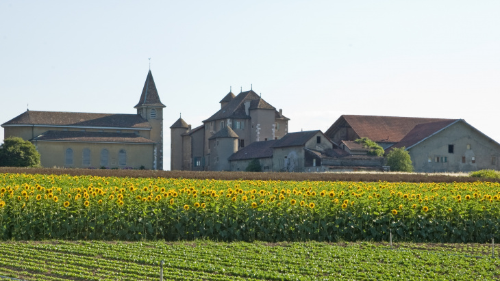 La Commanderie de Compesières vue depuis le coté nord, © Wikimedia Commons, Annirok (auteur)