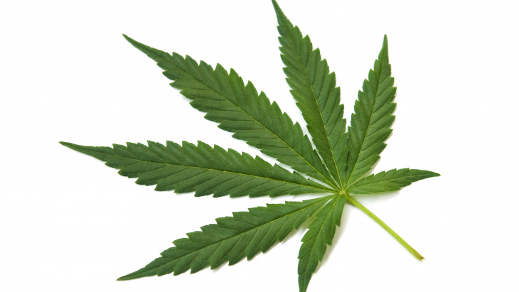Denrées alimentaires avec mention CBD – un constat lamentable !