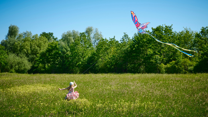 illustration enfants pré cerf volant