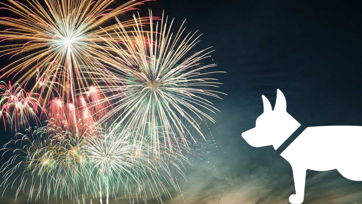 Protégez vos animaux du bruit des feux d'artifice!