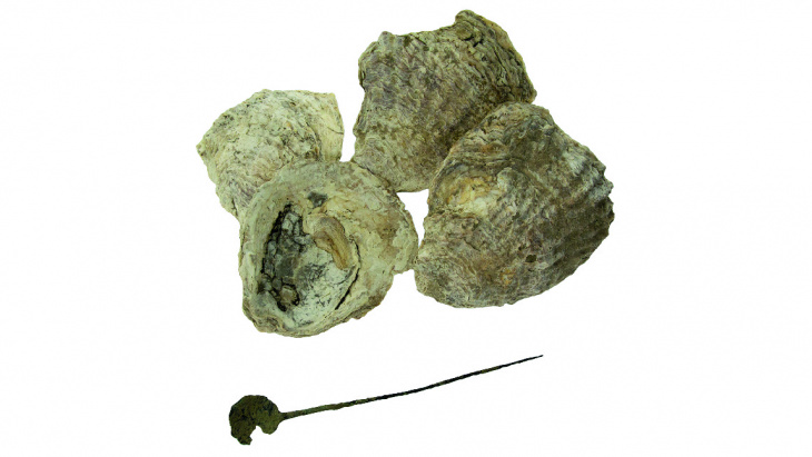 (c) Office du patrimoine et des sites, service d'archéologie