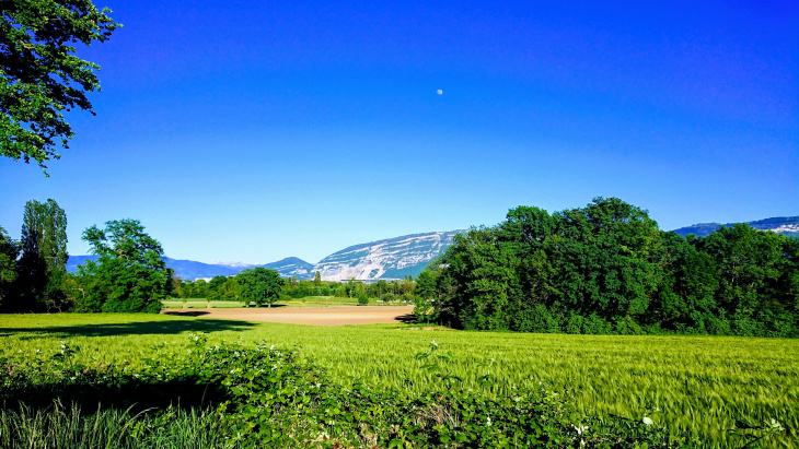 Vallon de l'Aire © Association pour la Sauvegarde de Confignon