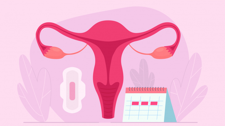 Règles et produits menstruels 