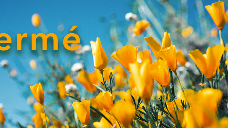 Ascension - Jeudi 18 mai 2023