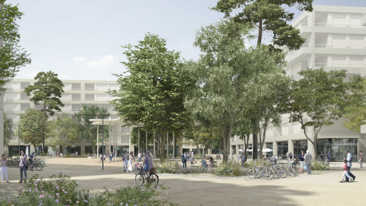 Acacias ©Philippe Cointault