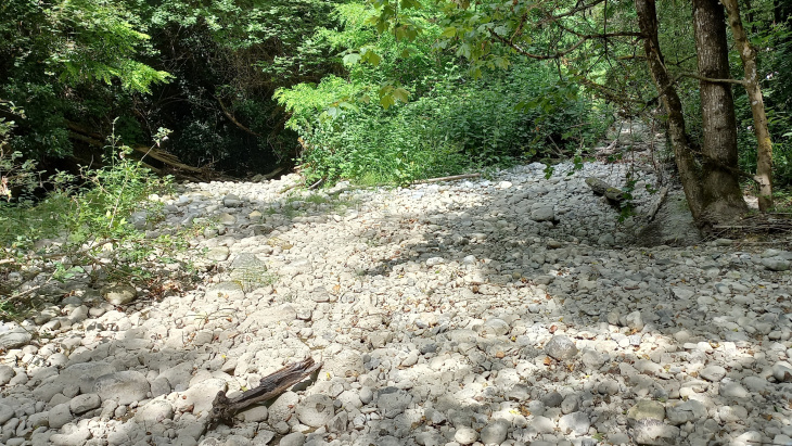 Cours d'eau genevois qui subit la sécheresse