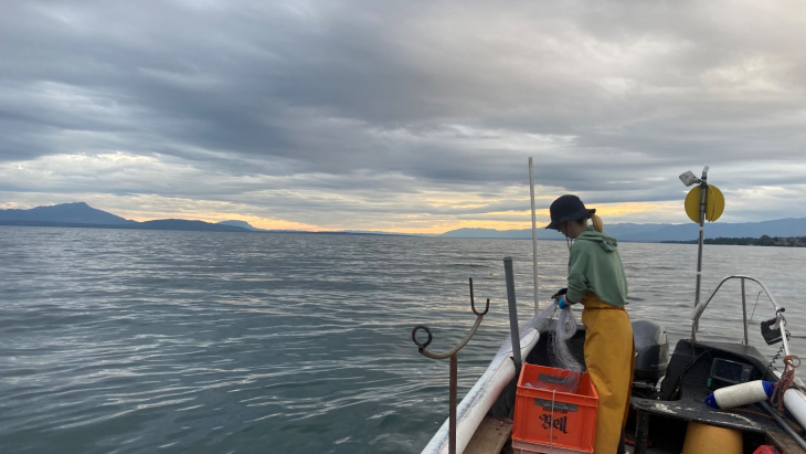 Pêche professionnelle sur le Léman 