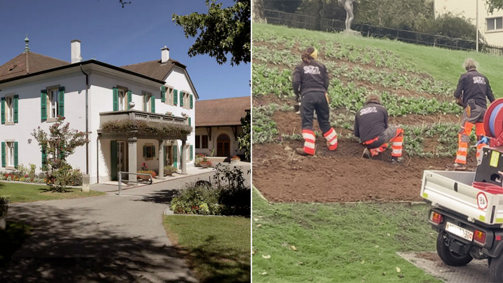 Label 1+ pour tous : zoom sur la ville du Grand-Saconnex