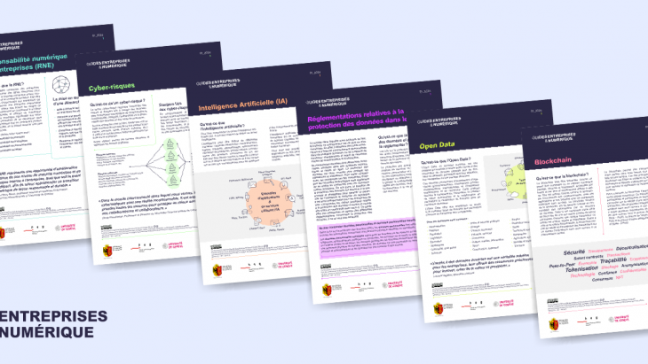 Guides Entreprises & Numérique
