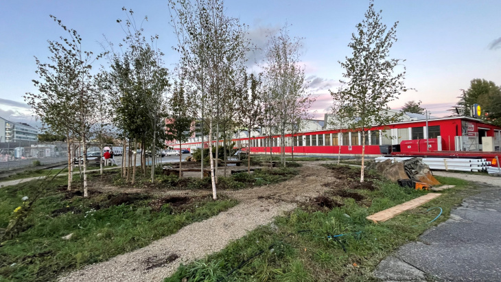 Pépinière à la rue Boissonnas © Etat de Genève