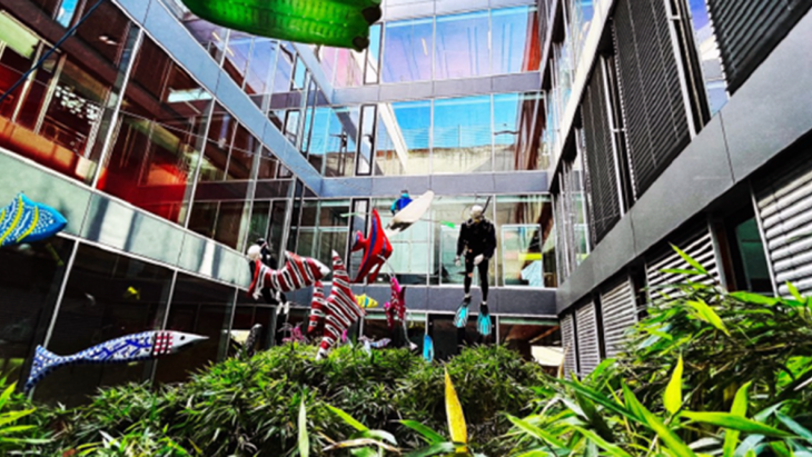 L'aquarium en plein air du CO Montbrillant