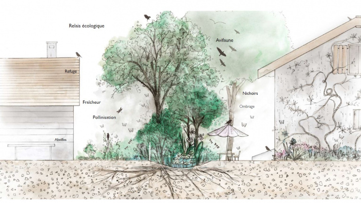 Gestion des eaux à la parcelle (copyright Atelier Plum)