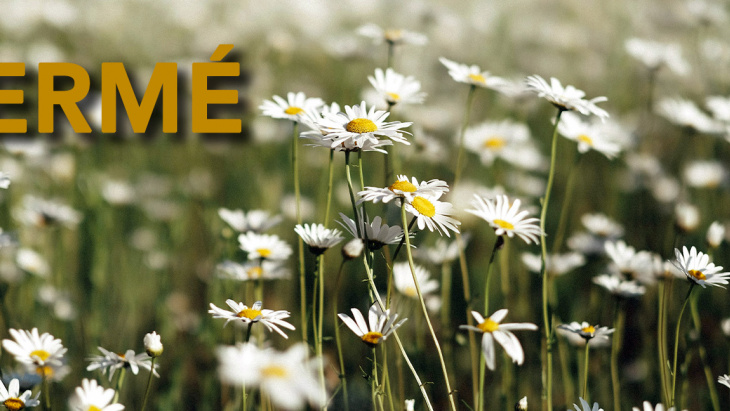 Pentecôte - Lundi 20 mai 2024 : fermeture des bureaux de l'OCE