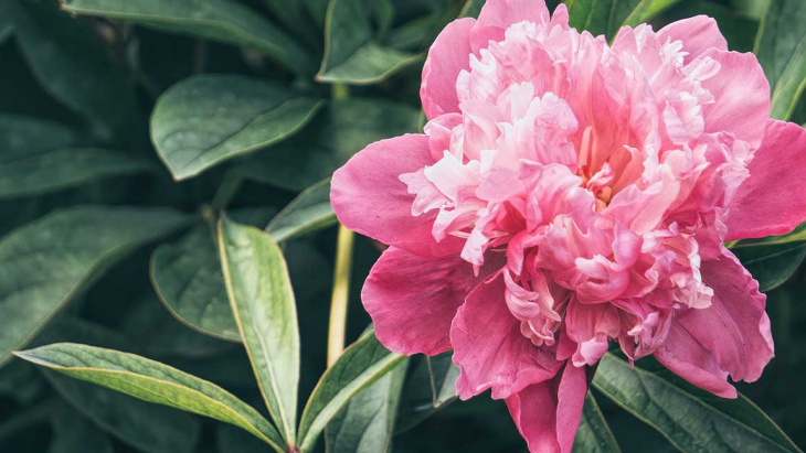 Fermeture de l'accueil de l'AFC pour Pentecôte