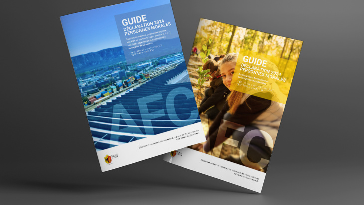 Les guides fiscaux des personnes morales 2024