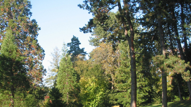 Parc STAGNI