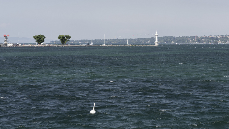 Paysage genevois : bains et phare des Pâquis © Matthieu Gafsou