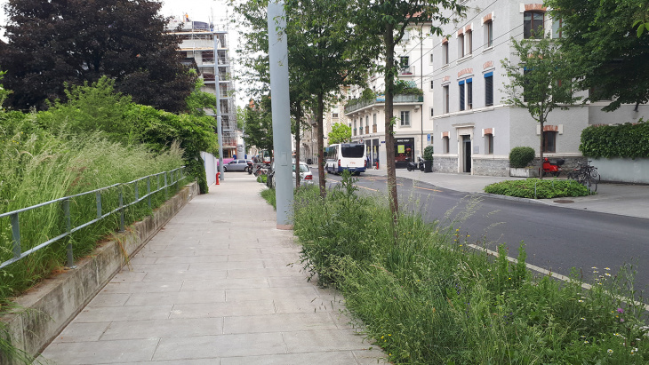 Rue à Genève