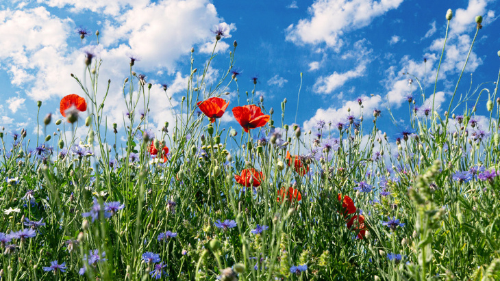 Lundi 9 juin 2025 : fermeture des bureaux de l'OCE