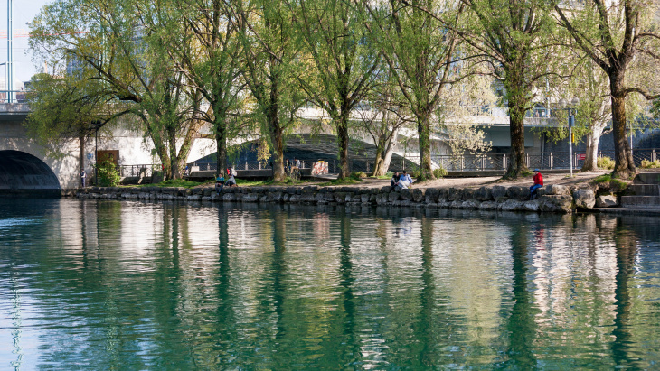 Rives boisées du Rhône urbain