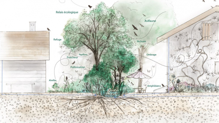 Illustration Atelier Plum pour l'office cantonal de l'eau