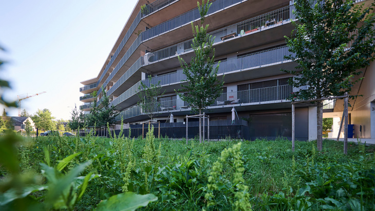Nouveau quartier (c) Loris Von Siebenthal