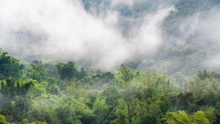 Rivière volante sur la forêt Amazonienne