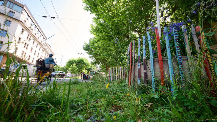 Désimperméabilisation au boulevard Jacques-Dalcroze (photo Loris Von Siebenthal)
