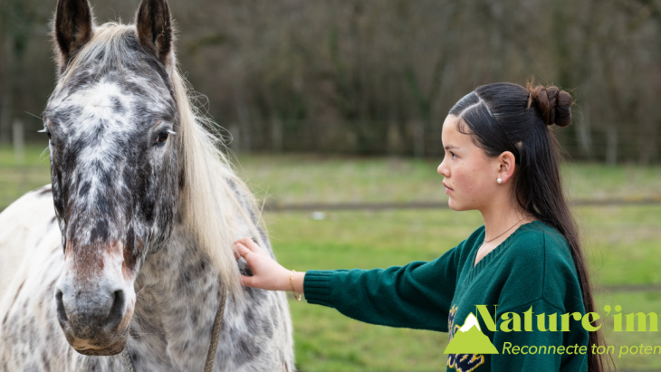 Une jeune caresse un cheval dans un champs