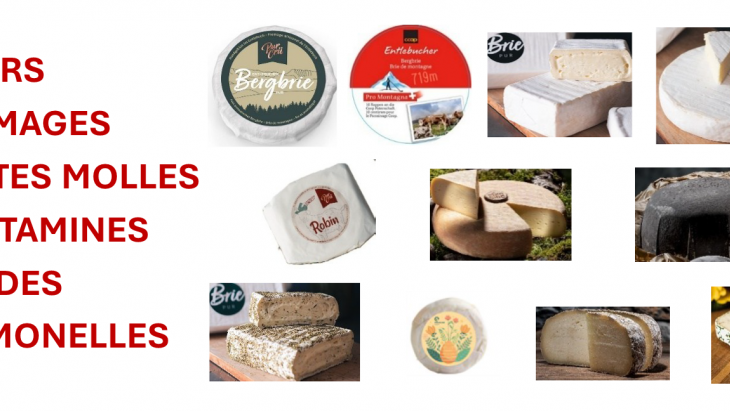 Fromages à pâtes molles contaminés par des Salmonelles