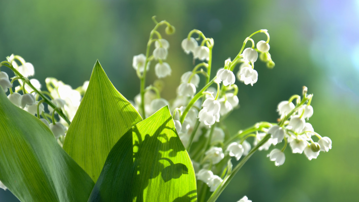 Vendredi 1er mai 2026 : fermeture des bureaux de l'OCE