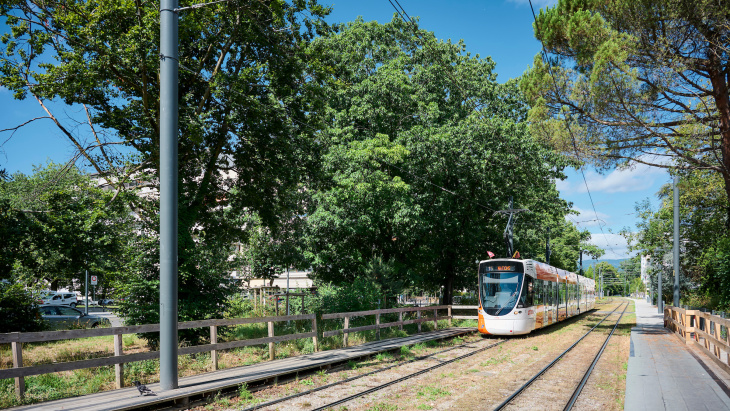 Tram végétalisé à Lancy (c) Loris Von Siebenthal