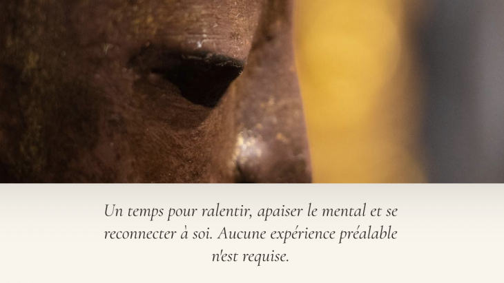 Image zoomée sur le profil d'une sculpture avec la mention "Un temps pour ralentir, apaiser le mental et se reconnecter à soi"
