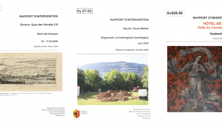 Rapports d'intervention